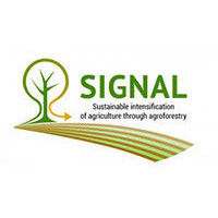 SIGNAL logo