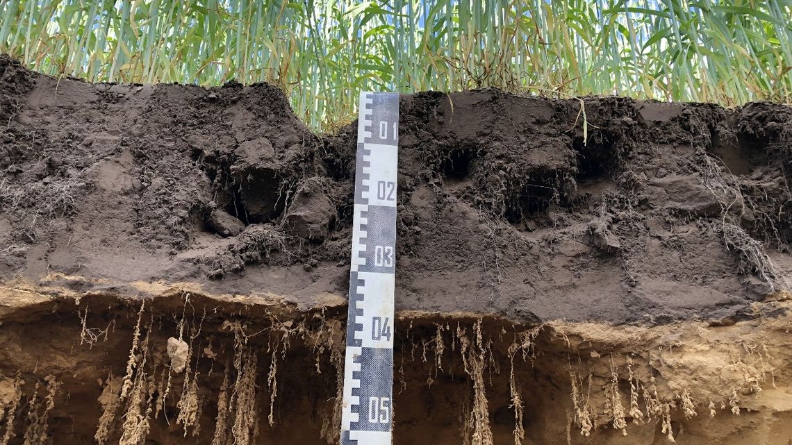 09 11 2020 impact of subsoils