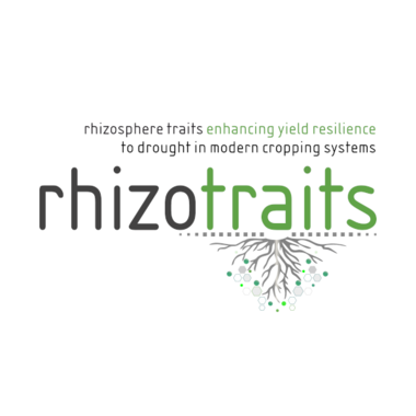 rhizotraits