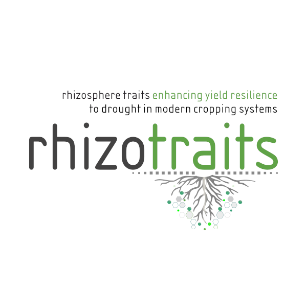 rhizotraits logo