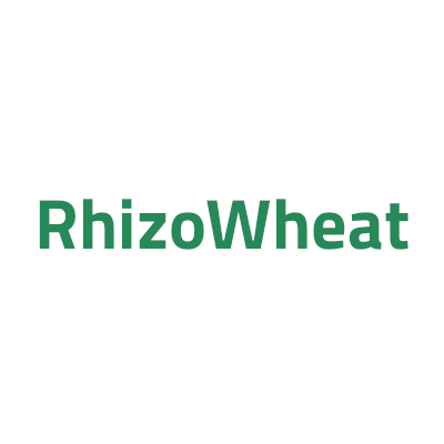 rhizowheat logo