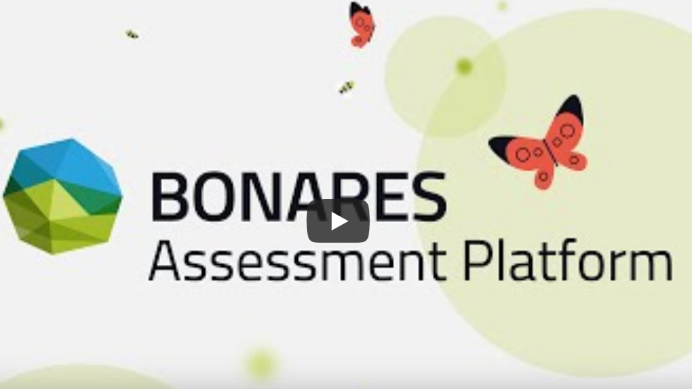 screenshot assessment platform intro video
