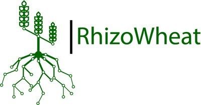 rhizowheat logo
