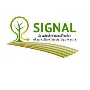 SIGNAL logo