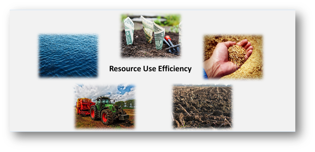 Resource Use Efficiency