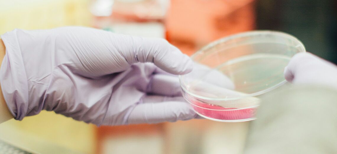 Antibiotic-resistant bacteria