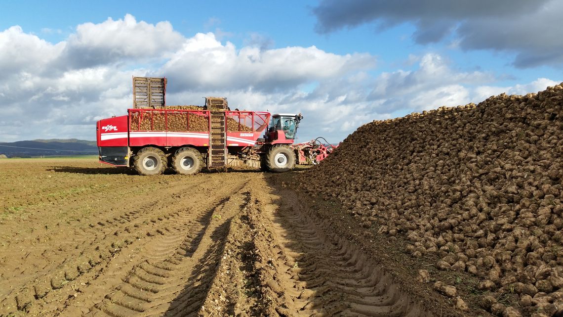 soilassist